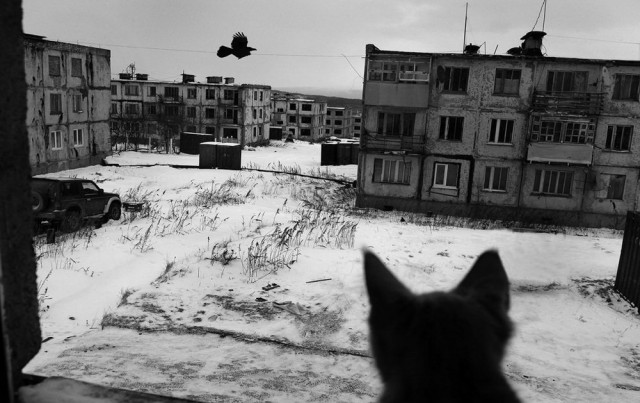Жительницу Находки возмутила цветная лестница около школы