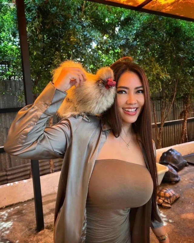 ФотоВинегрет