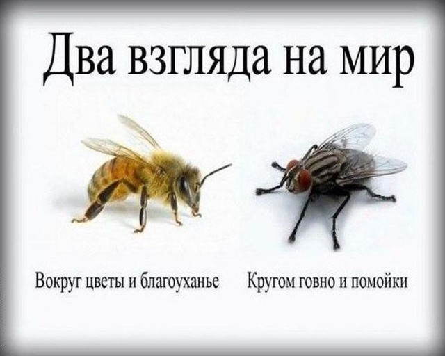 Мы стали свидетелями Чуда, дрон Всемогущий