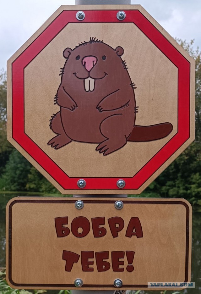 Знаки добра 2