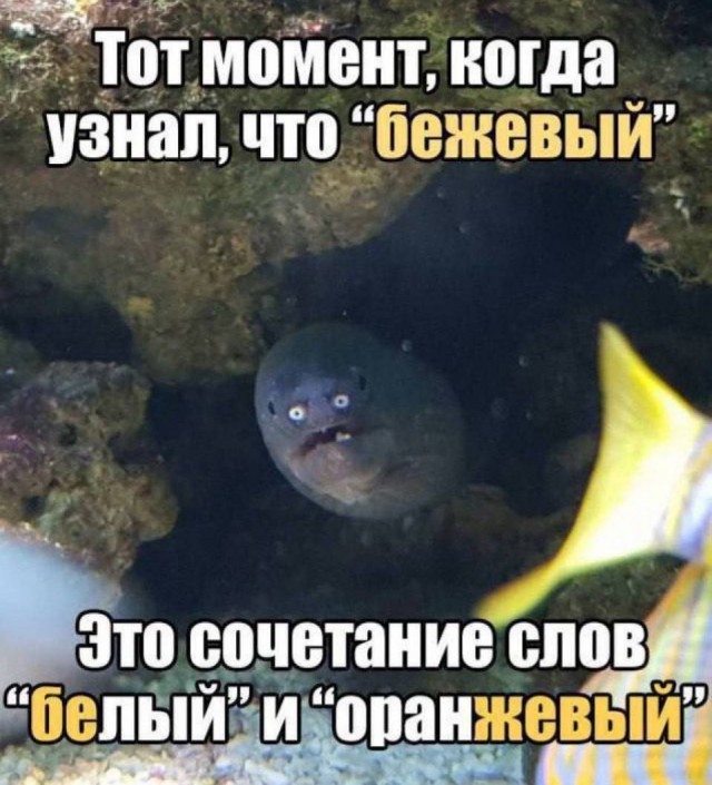 Всего понемногу. От 27.09.24