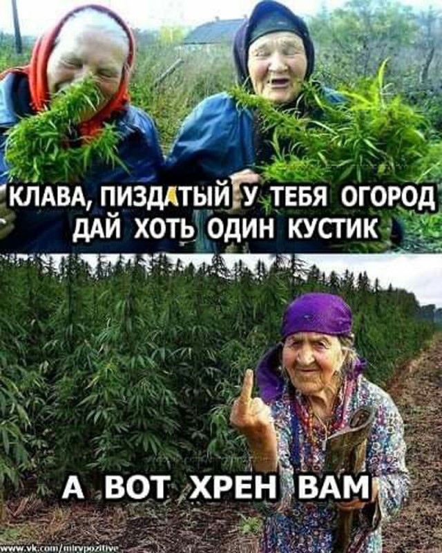 Прикольные и просто красивые картинки
