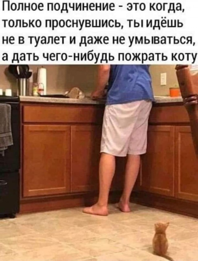 Так себе картинки 05.12.24