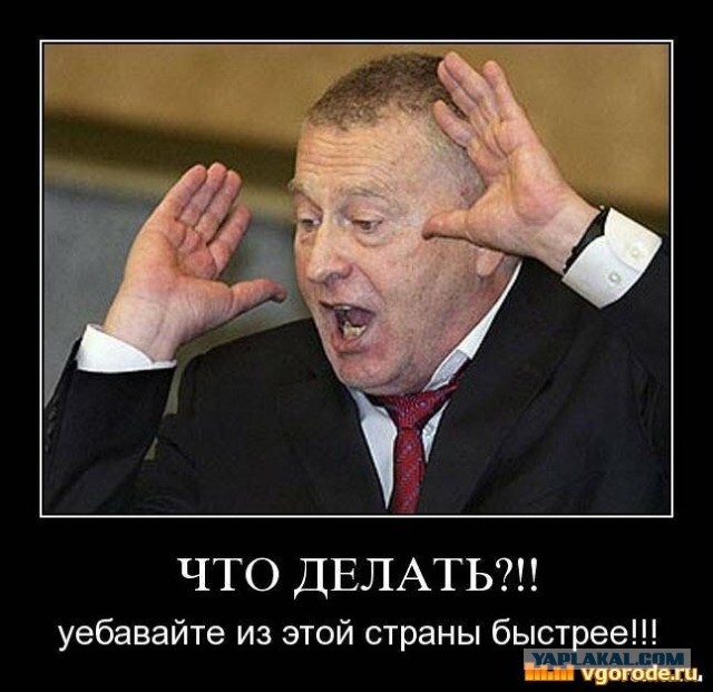 У депутата госдумы от ЛДПР нашли 8 квартир в Маями