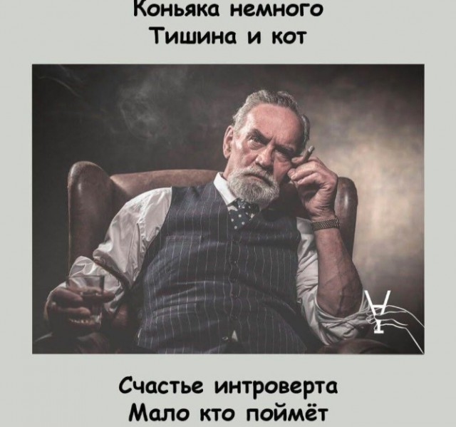 Так себе картинки 24.12.24