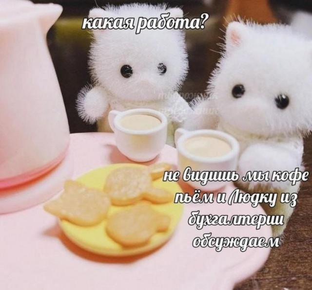 Всего понемногу. От 20.01.2025