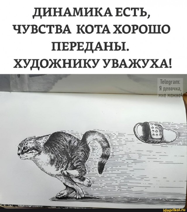 Картинки выходного дня