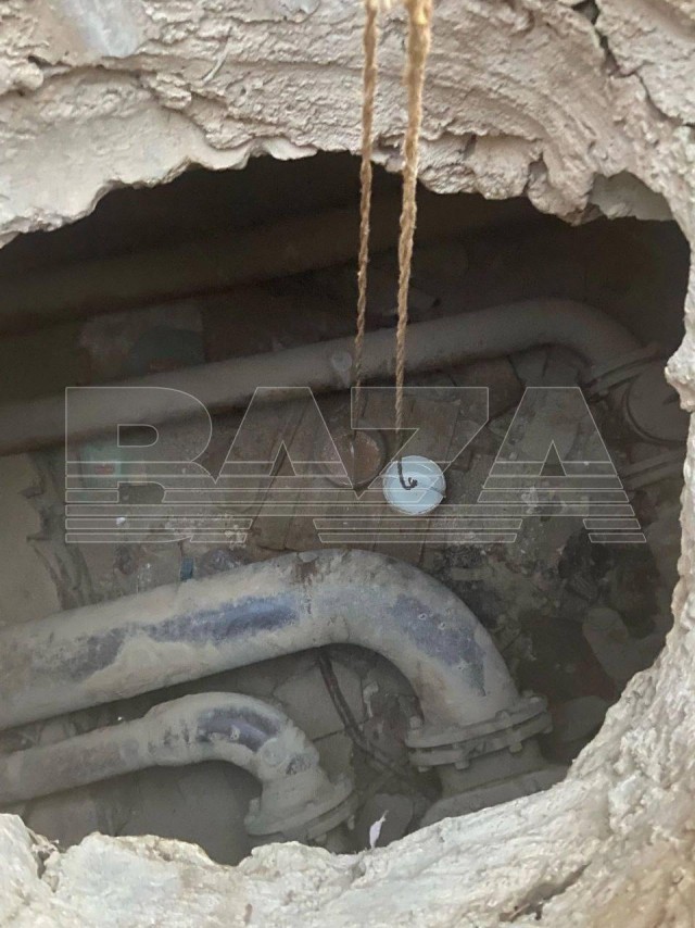 В Брянской области собака-маугли три года живёт в подземном бункере