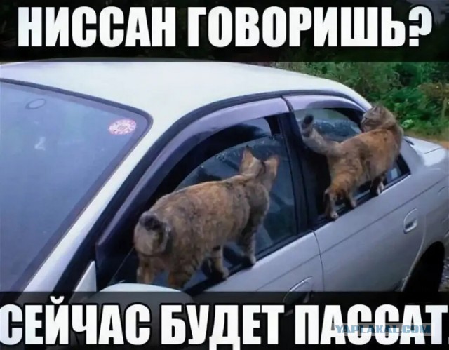На дачу с другом!