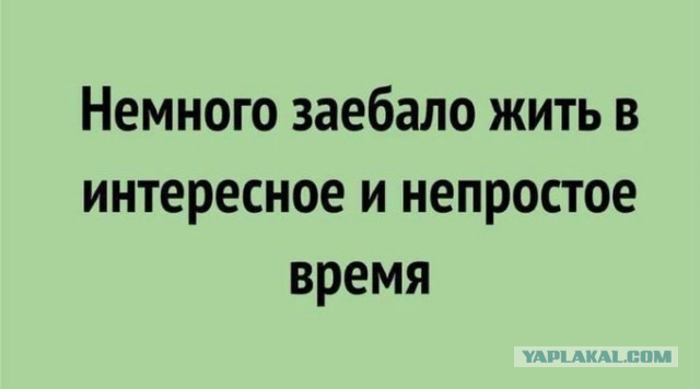 Заявления Путина о терактах в Курской и Брянской областях