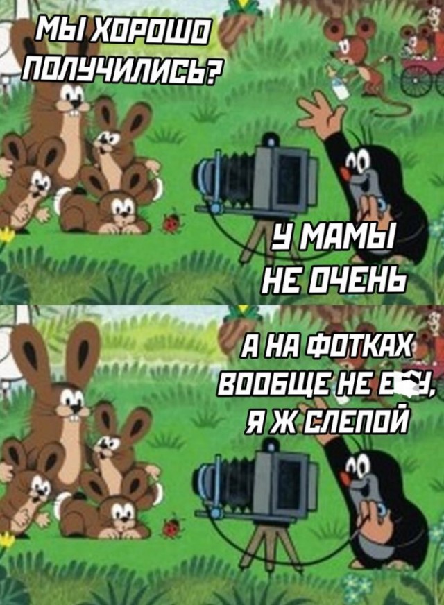 Веселые картинки в пятницу (15.08)