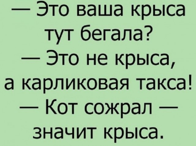 Так себе картинки 26.09.25
