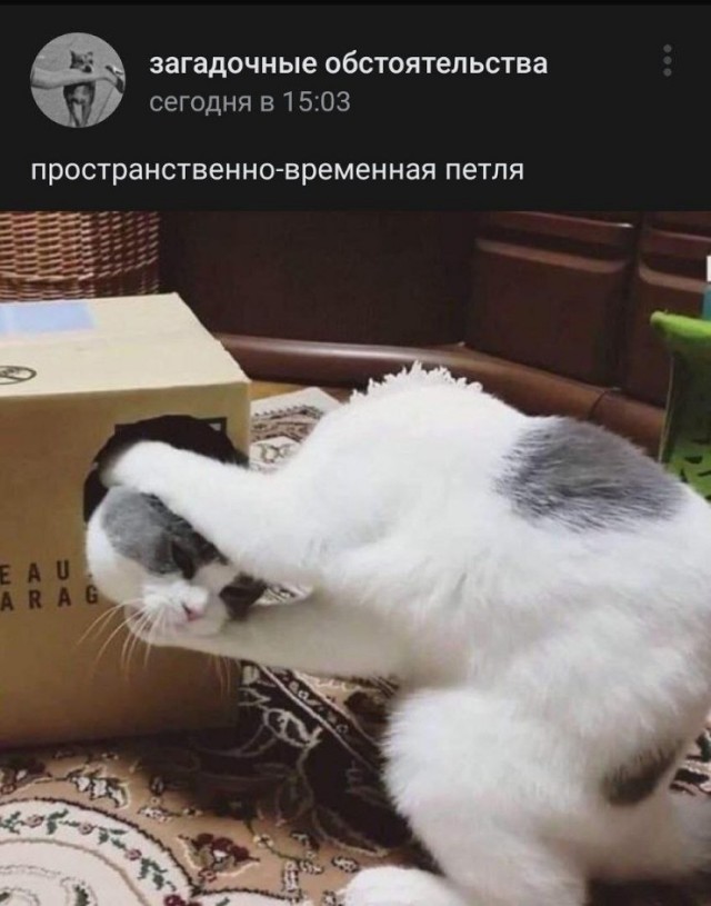 Картинки для деградации 72 (разной степени свежести)
