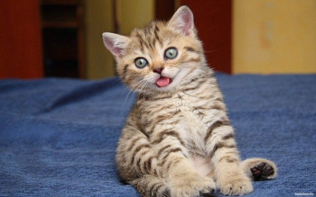 Прикольные и просто красивые картинки 18.11.2025