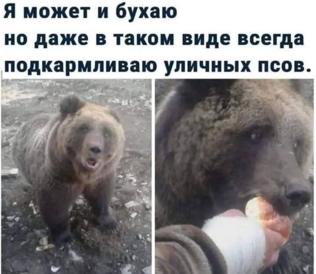 Среды картинки