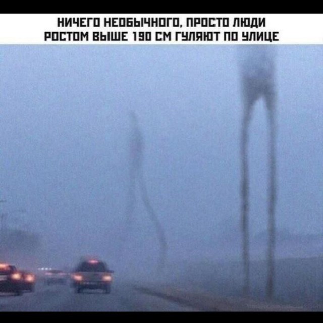 Картинки для деградации 148 (разной степени свежести)