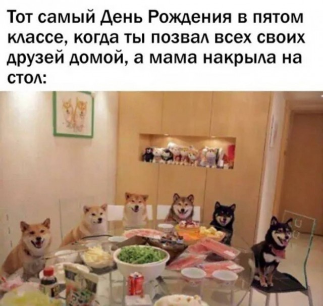 Веселые картинки в маленькую пятницу (04.03)