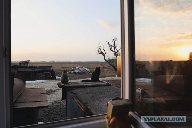 А давайте накидаем вид из своего окна