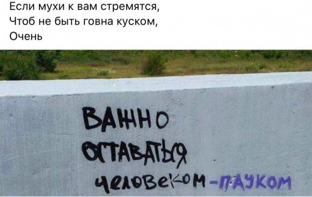 Так себе картинки 06.05.26