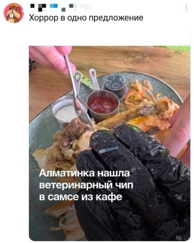 20985128.jpg