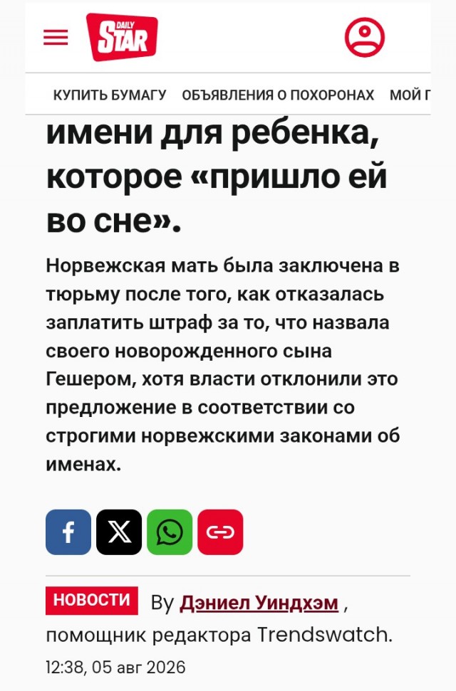 Жительницу Норвегии отправили в тюрьму из-за необычного имени сына