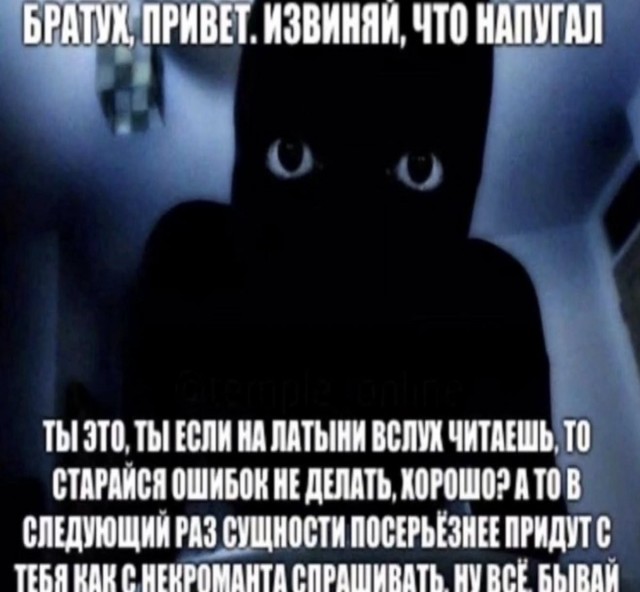 Так себе картинки 25.08.26