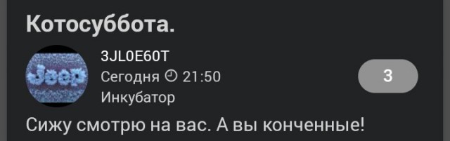 Котосуббота.