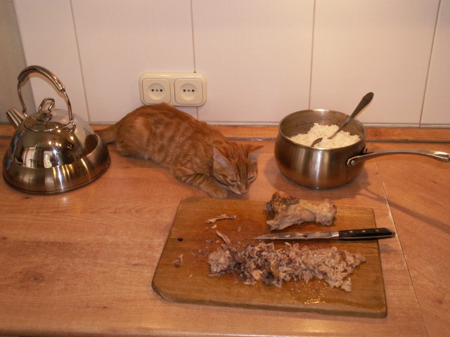 Мясо в рационе кота ))
