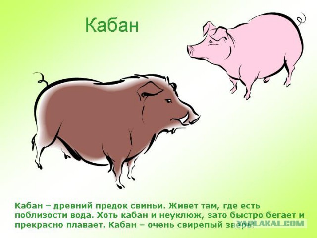 Один - лишний!