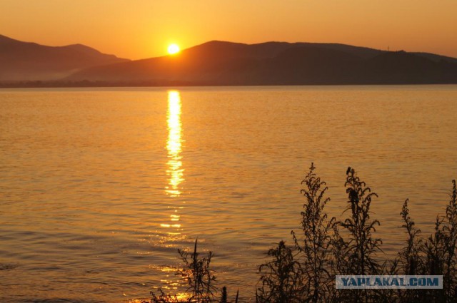 Природа Приморского края