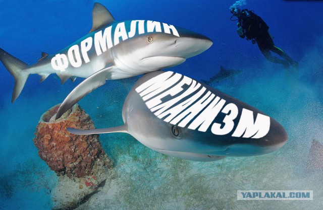 Я хочу замуж