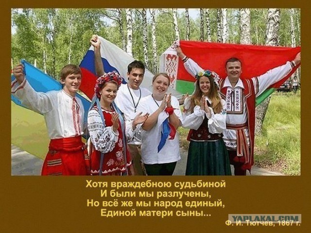 Сатиры псто