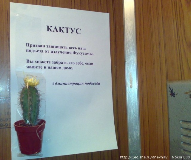 Объява в подъезде