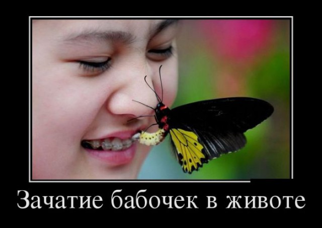 Смешные картинки с подписями 2