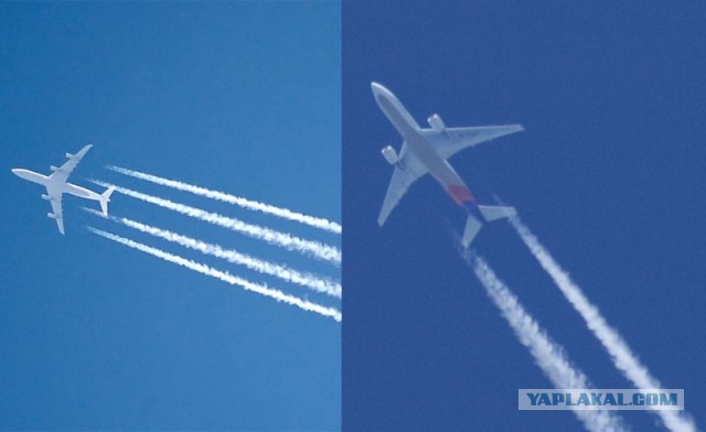 На Украине рухнул Боинг-777 малайзийских авиалиний
