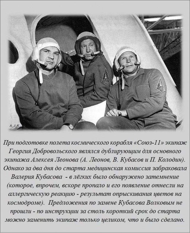 20 фактов обо всем
