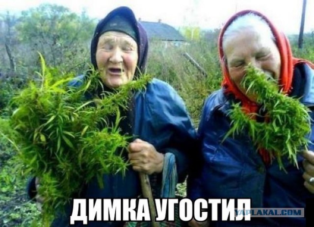 Тук-тук.