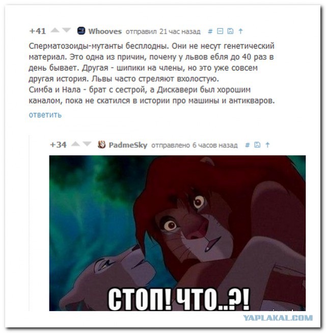 Немного картинок перед понедельником