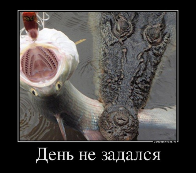 Подборка веселостей из сети