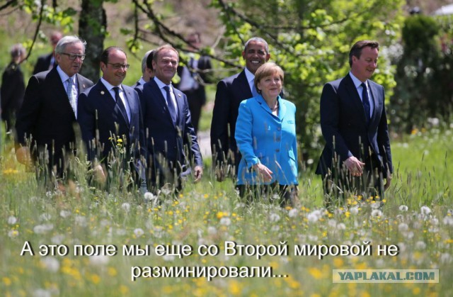 О чем это они?