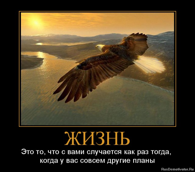 Вы хотите "демов"? часть 2-я