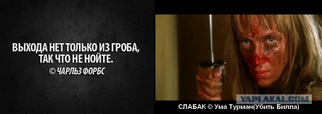 Цитаты из нашей жизни