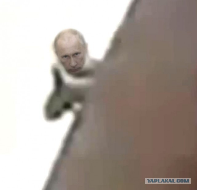 Война в сирии съемка экшн камерой 18+