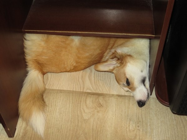 Удобная поза во время сна очень важна!