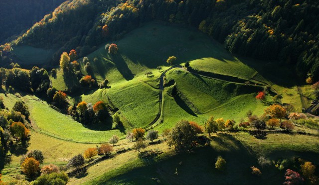 Подборка интересных и веселых фото