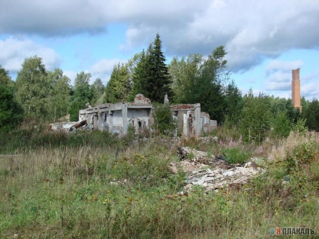 S.t.a.l.k.e.r - СТАЛКЕР
