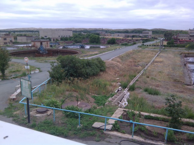 Когда же вы нажретесь, удоды?