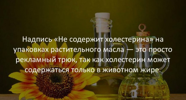 30 занимательных фактов
