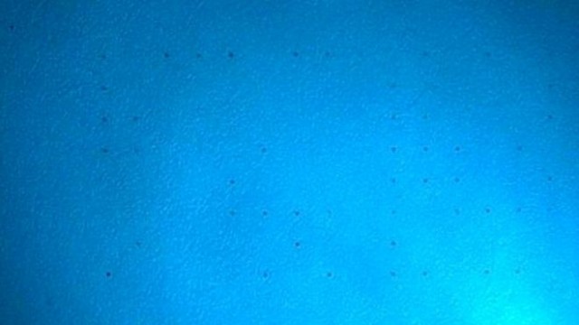 Сторонникам теории заговоров, ваши домыслы подтверждаются