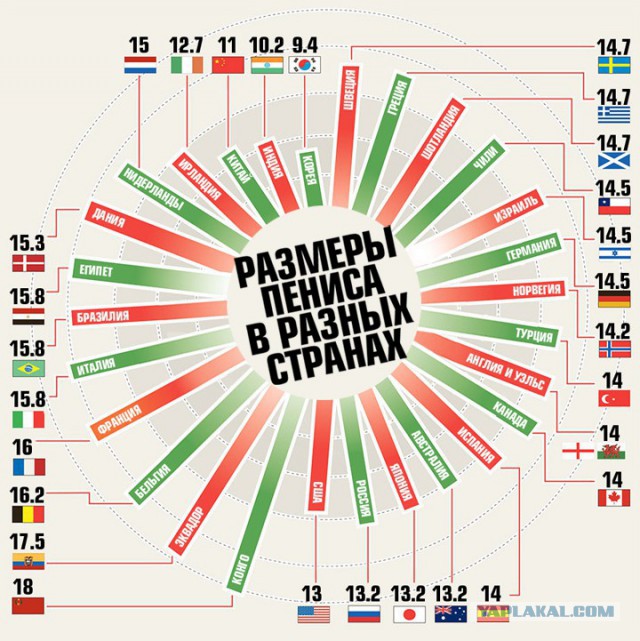 Карта размеров членов